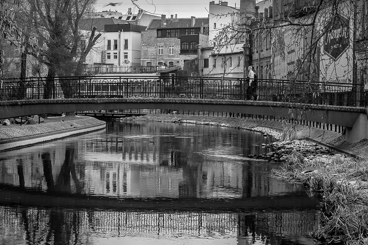 Fotografia czarno biała