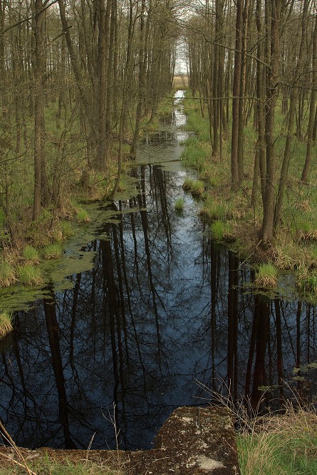 ZACZYNA SIĘ BIEBRZAŃSKI PARK NARODOWY 