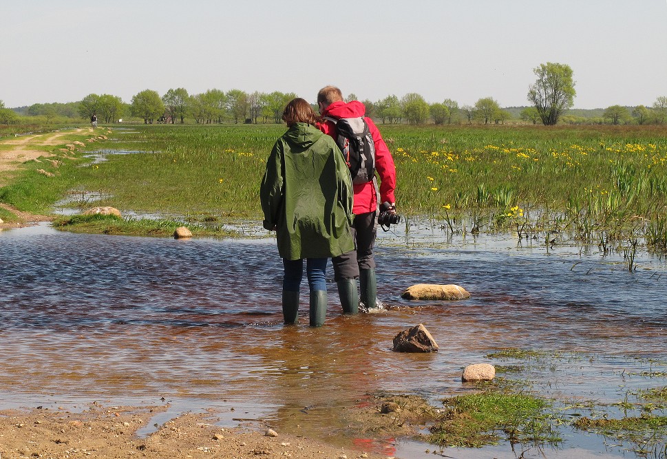 W DRODZE NA BIAŁY GRĄD 