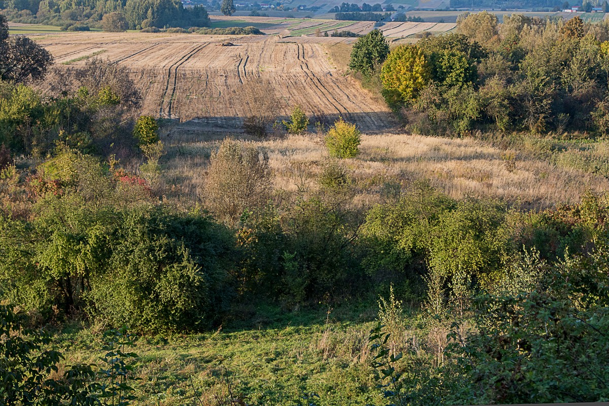 Świętokrzyskie