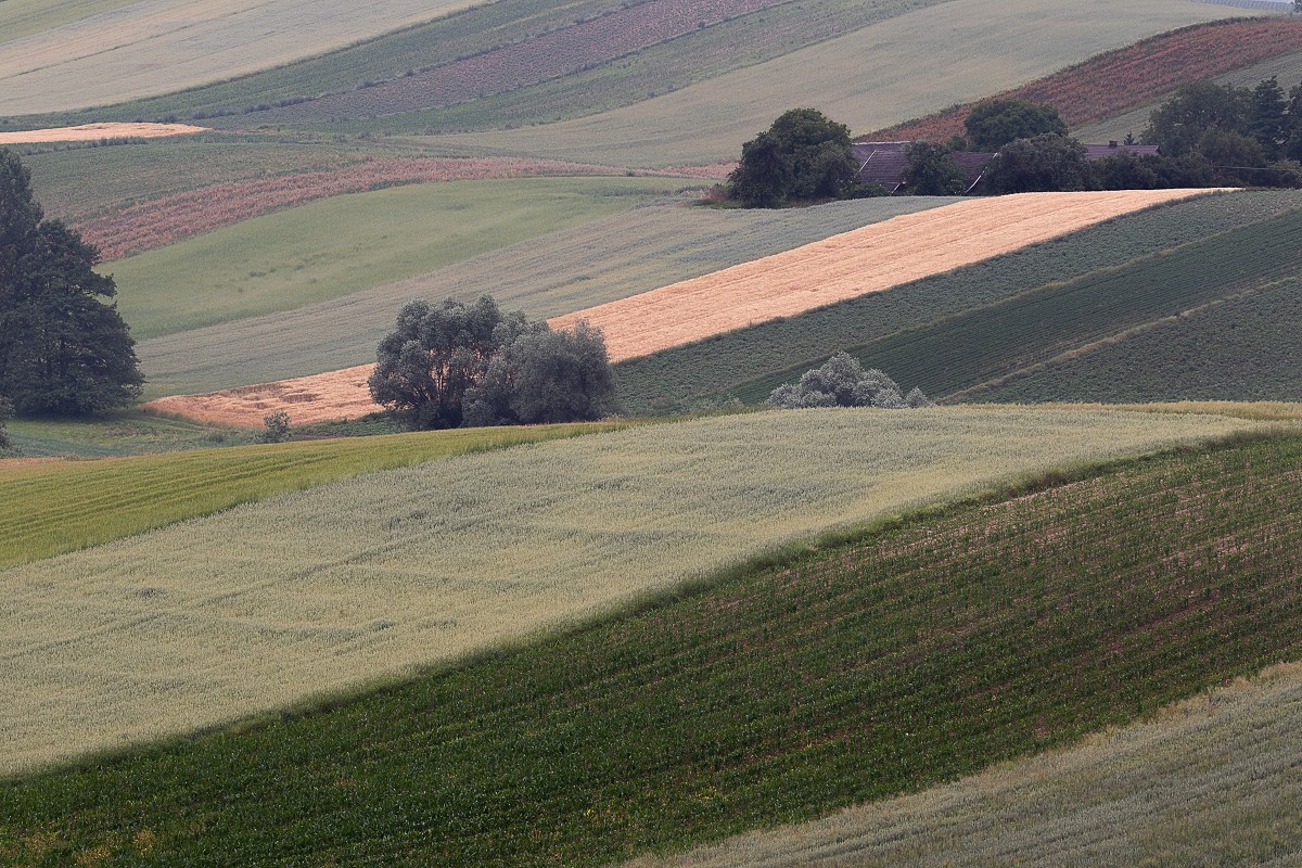 Wodzisław - okolica